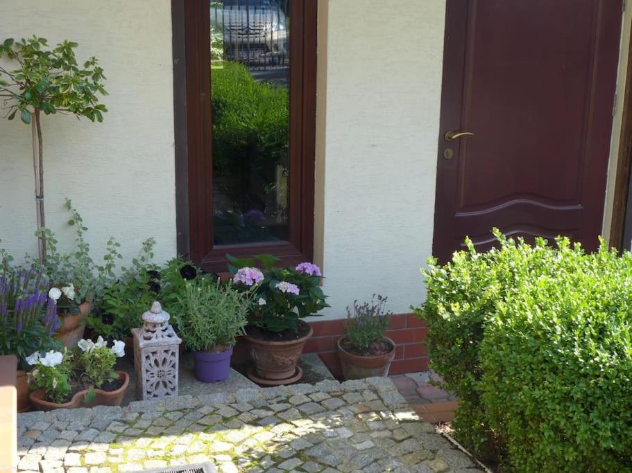 Spacious Apartment In Green District. Wroclaw Dış mekan fotoğraf